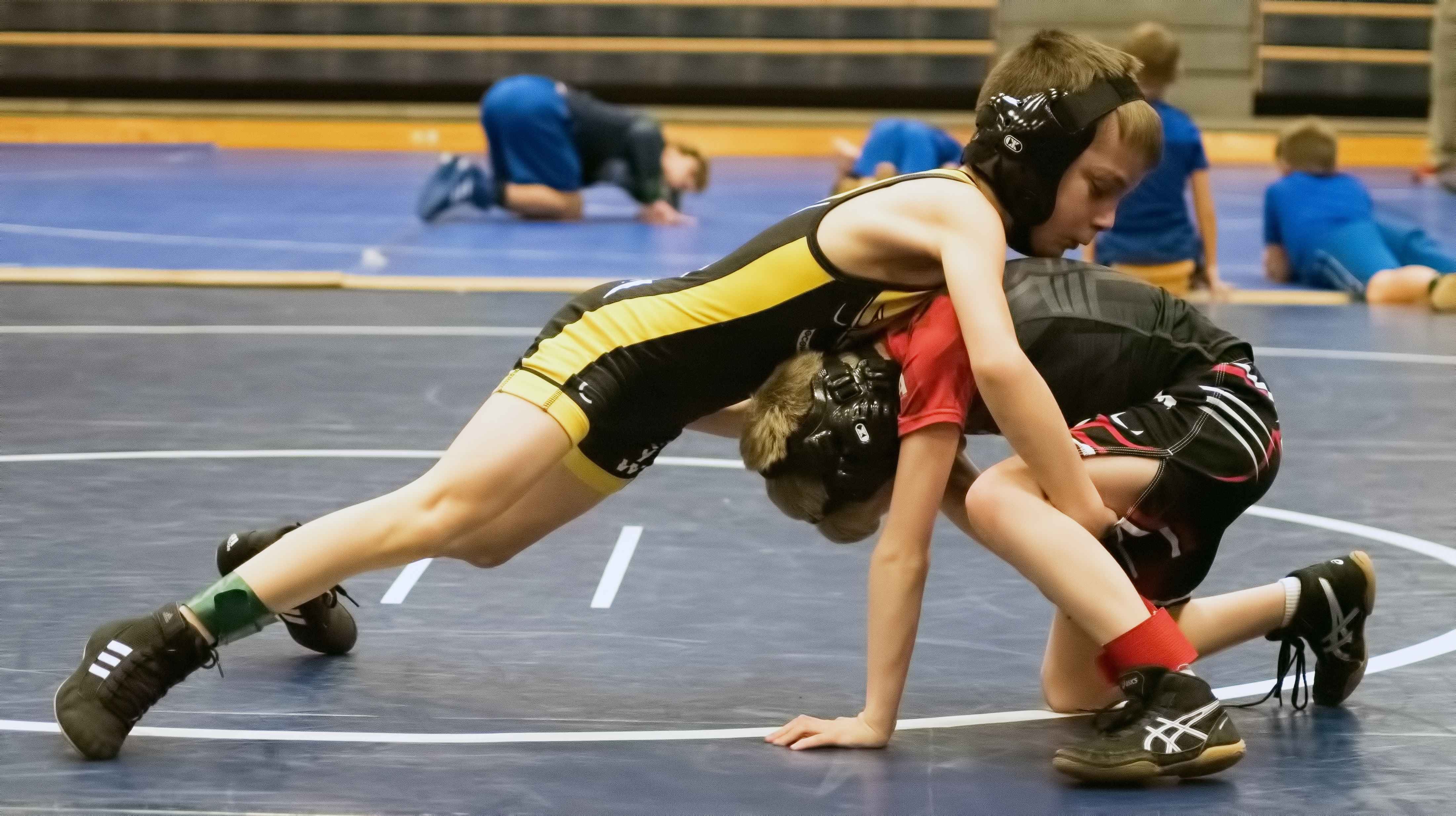 Smugmug Wrestling Galleries - p6a94nd